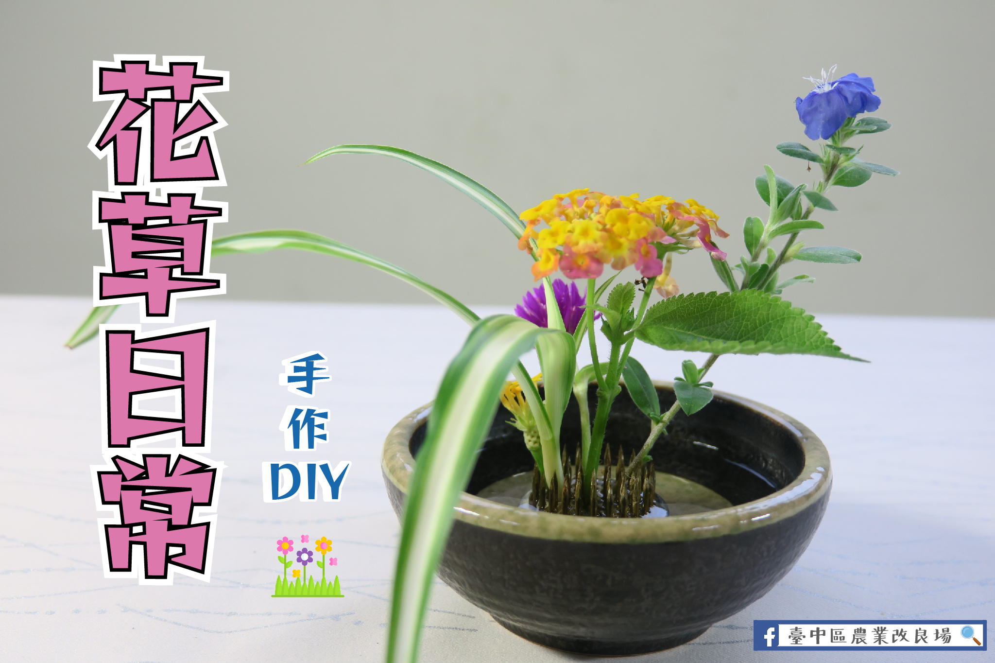 花草日常，手動DIY