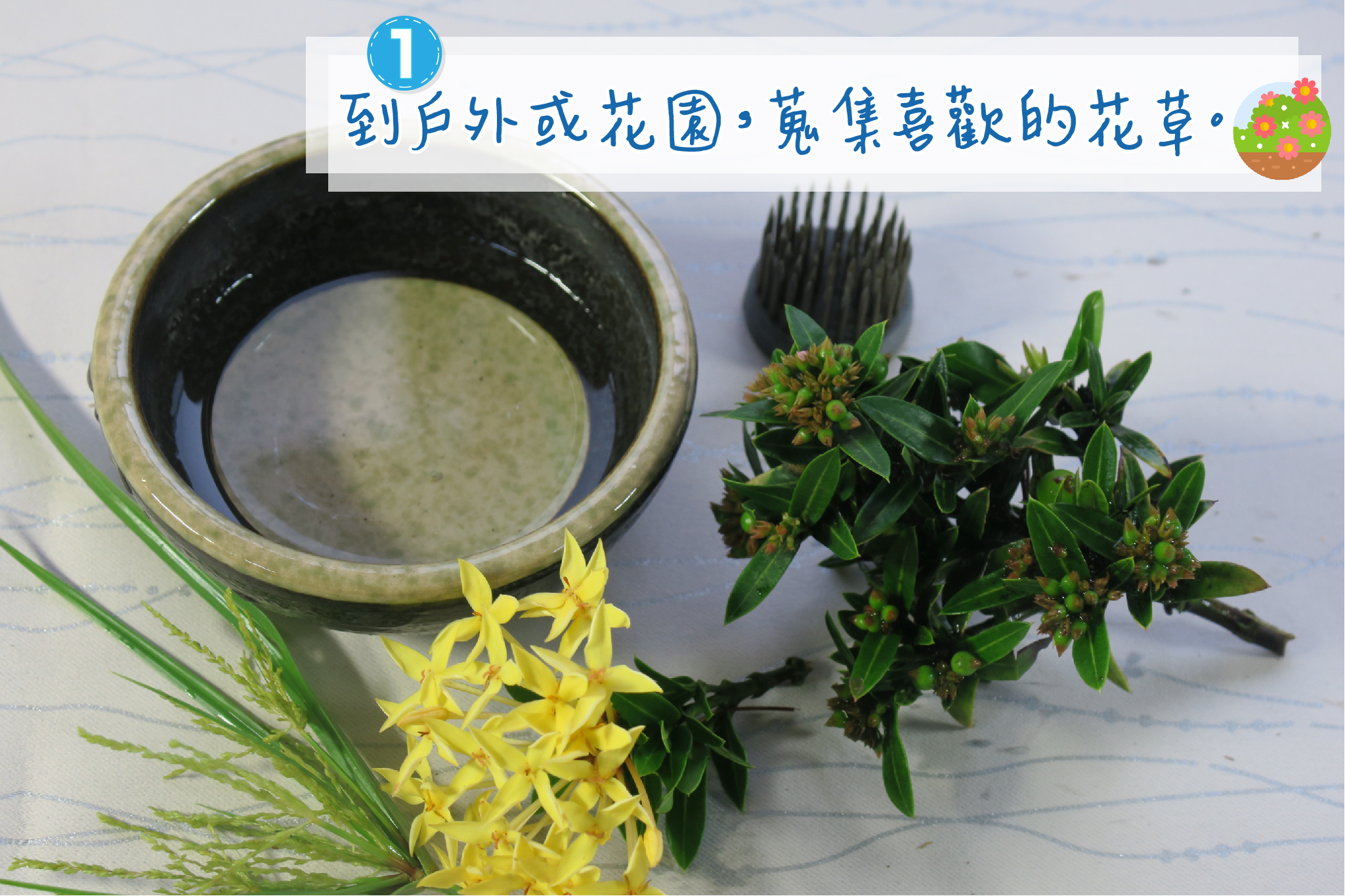 到戶外或花園，蒐集喜歡的花草。