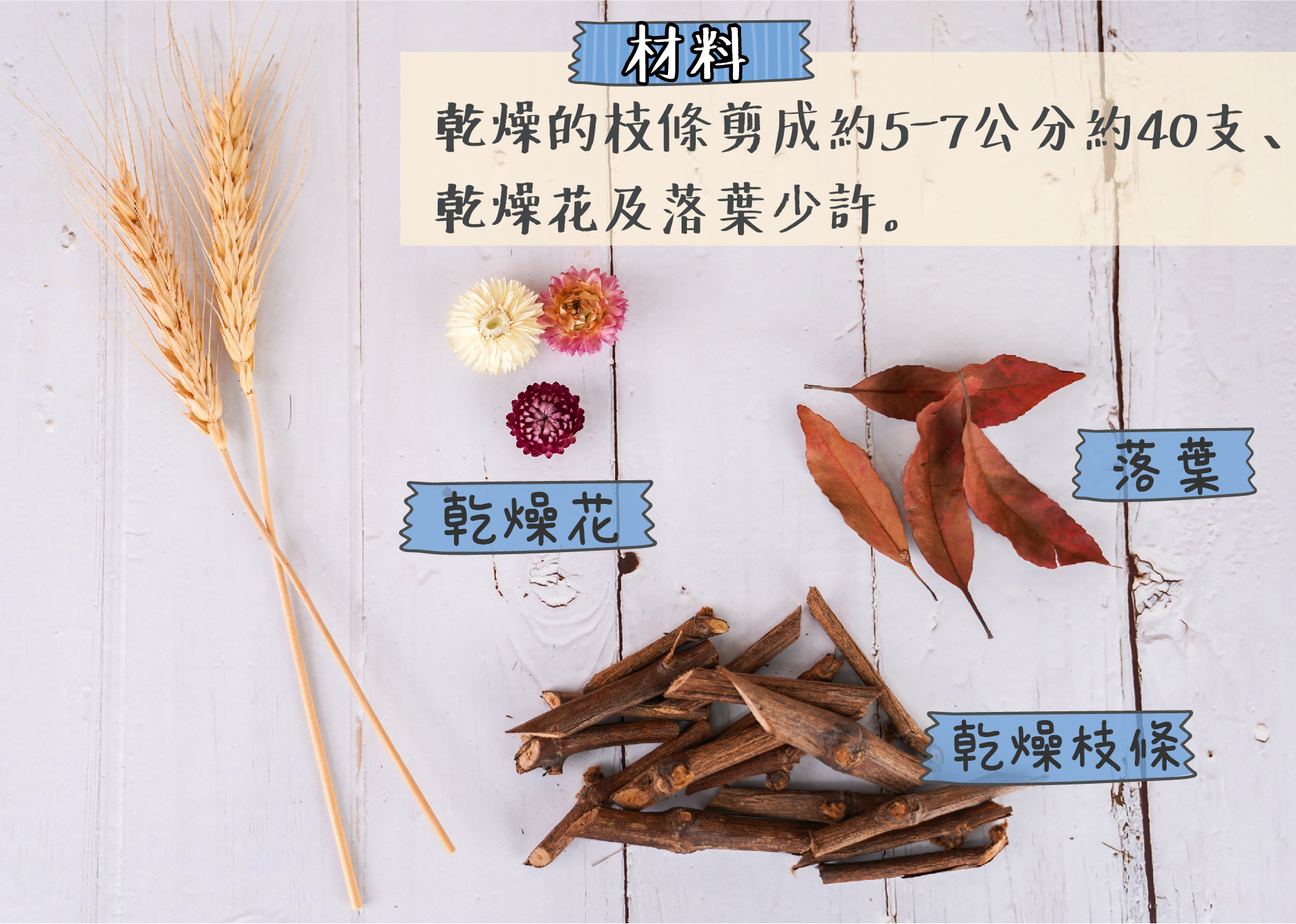 園藝療育DIY-創藝療育相框-材料