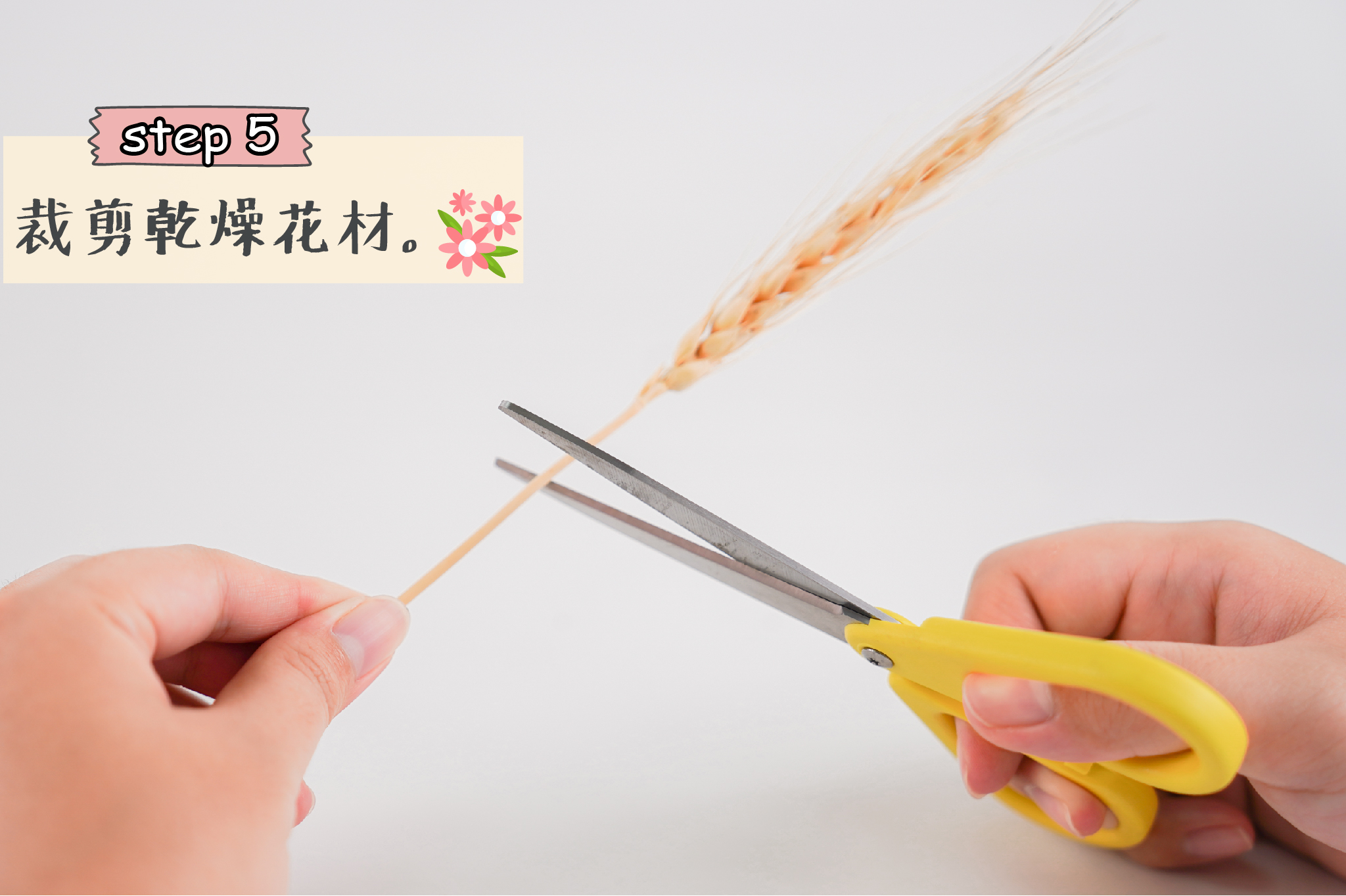 園藝療育DIY-創藝療育相框-步驟5