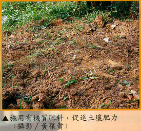 施用有機質肥料，促進土壤肥力