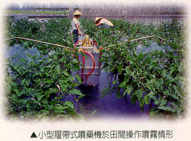 小型履帶式噴藥機於田間操作噴霧情形