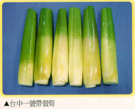 台中一號帶殼筍
