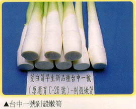 台中一號剝殼筍