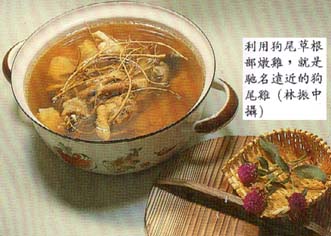 利用狗尾草根部燉雞，就是馳名遠近的狗尾雞(林振中攝)