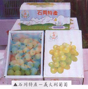 石岡特產－義大利葡萄