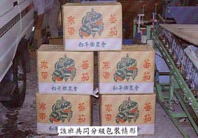 該班共同分級包裝情形 該班共同分級包裝情形