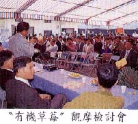 有機草莓觀摩檢討會