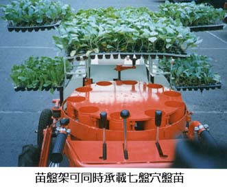 苗盤架可同時承載七盤穴盤苗