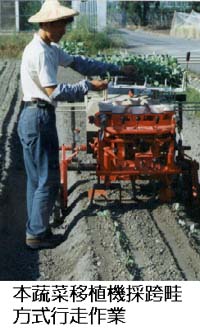 本蔬菜移植機採跨畦方式行走作業 本蔬菜移植機採跨畦方式行走作業