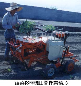 蔬菜移植機田間作業情形 蔬菜移植機田間作業情形