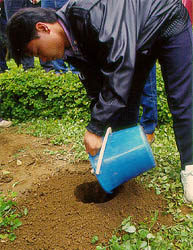 果園鑽土穴施有機肥料開發技術成果觀摩成效深受農友肯定