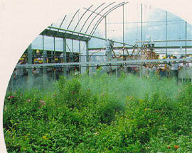 當日十三種噴藥設施項目之一