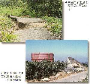 枇杷地震災害後復耕技術