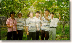 葡萄產銷班之生產管理