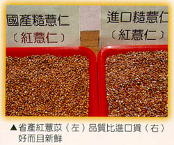 省產紅意苡(左)品質比進口貨(右)好而且新鮮