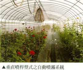 垂直噴桿型式之自動噴霧系統