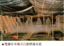 雙鋼索承載式自動噴霧系統