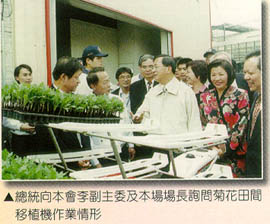 總統向本會李副主委及本場場長詢問菊花花田間移植機作業情形 總統向本會李副主委及本場場長詢問菊花花田間移植機作業情形