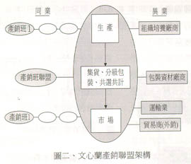 圖二、文心蘭產銷聯盟架構