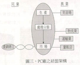 圖三、PC廠之結盟架構 圖三、PC廠之結盟架構