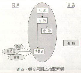 圖四、觀光果園之結盟架構