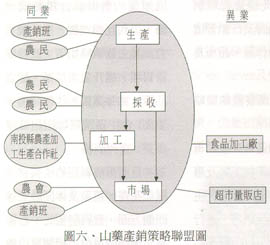 圖六、山藥產銷策略聯盟圖 圖六、山藥產銷策略聯盟圖