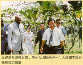 本場場長陳榮五博士帶引瓦德總統等一行人參觀本場有機葡萄試驗園