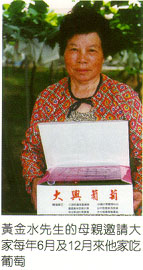 黃金水先生的母親邀請大家每年6月及12月來他家吃葡萄