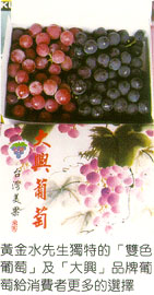 黃金水先生獨特的「雙色葡萄」及「大興」品牌葡萄給消費者更多的選擇