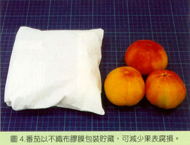 番茄以不織布膠膜包裝貯藏，可減少果表腐損。