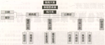 聯盟組織架構