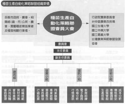 聯盟組織架構