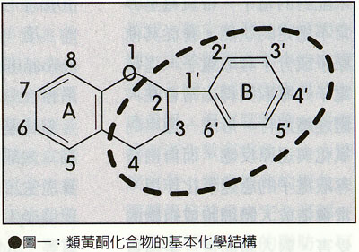 圖一:類黃酮化合物的基本化學結構 圖一:類黃酮化合物的基本化學結構
