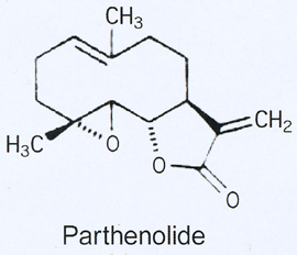 Parthenolide