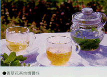 輕草花茶怡情養性