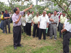 「台中一號」的育成者廖萬正先生帶引與會農友參觀本場梨試驗園並介紹其相關特性