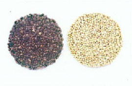 蕎麥種實及脫殼後蕎麥粒