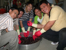 生產高品質葡萄酒的前置作業－榨汁