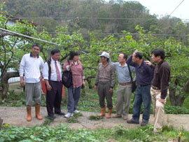 台灣梨良好農業規範TGAP小組成員於示範點進行輔導作業
