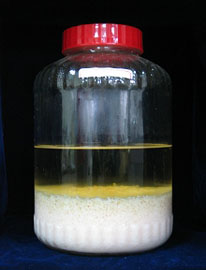 利用高優質酒麴製作之米酒