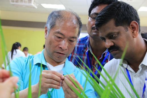 帶領亞太地區學員判釋水稻穗肥施用時期