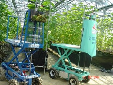 Electric self-propelled lifting carrier (2006)