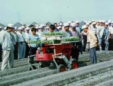 Semi-automatic vegetable seedling transplanter (2004)