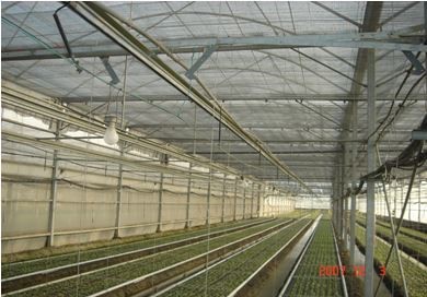Vertical moving net frame system to prevent flower crops lodging in protected facility (2009)
